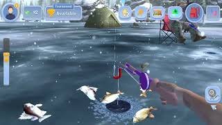 Best ice fishing live game in Canada